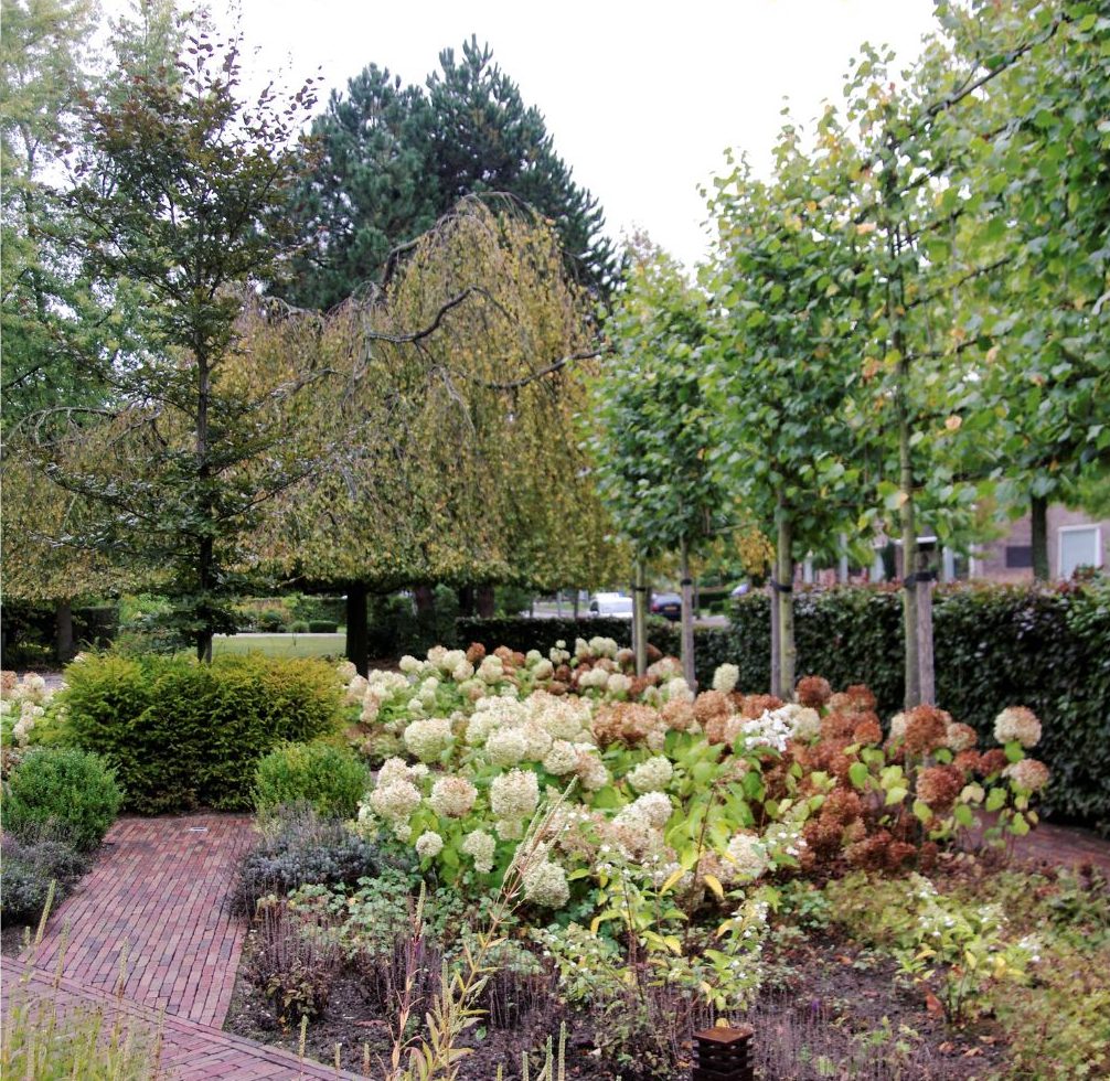 duurzame tuin met beukenhaag